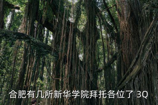 合肥有幾所新華學院拜托各位了 3Q