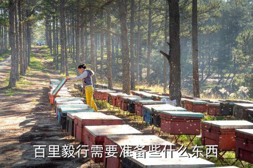 合肥百里毅行，我要參加一個百里毅行的活動請問穿什么樣的鞋子比較好有什么其他的注