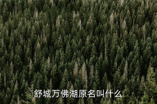 舒城萬佛湖原名叫什么