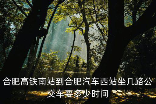 合肥高鐵南站到合肥汽車西站坐幾路公交車要多少時(shí)間