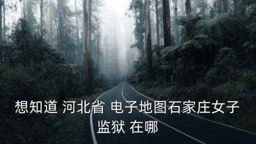 石家莊電子地圖，誰(shuí)有石家莊的電子地圖呀