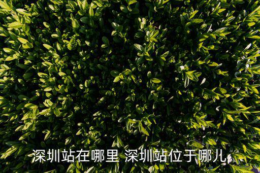 深圳站在哪里 深圳站位于哪兒