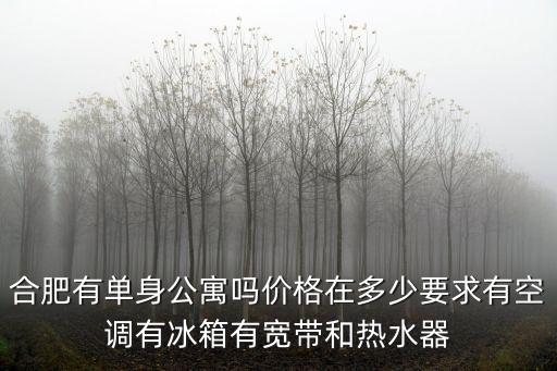 合肥有單身公寓嗎價格在多少要求有空調(diào)有冰箱有寬帶和熱水器