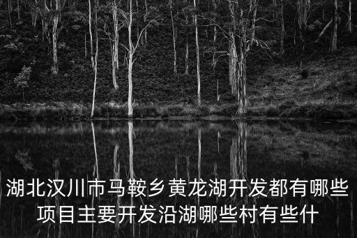 湖北漢川市馬鞍鄉(xiāng)黃龍湖開發(fā)都有哪些項目主要開發(fā)沿湖哪些村有些什