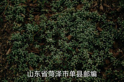 山東省菏澤市單縣郵編