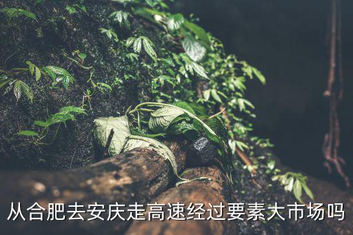 從合肥去安慶走高速經(jīng)過要素大市場(chǎng)嗎