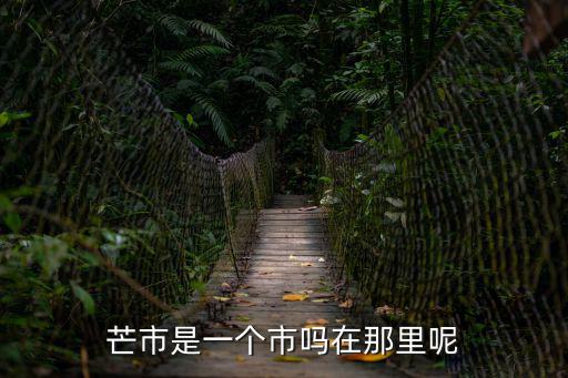 云南省德宏州芒市，云南省德宏州芒市分為哪幾個縣城
