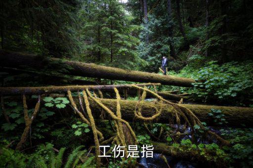 工傷是指
