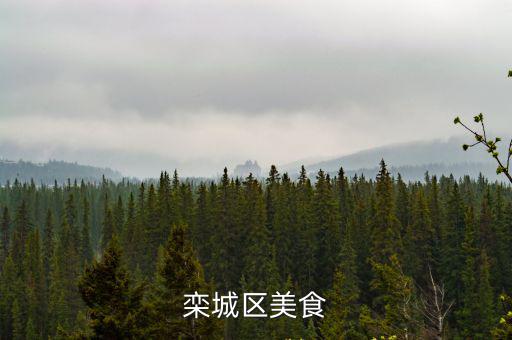 欒城區(qū)，欒城是什么地方
