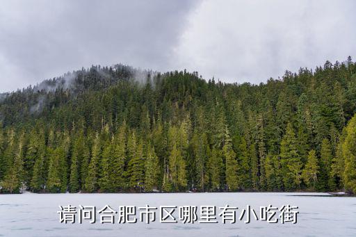 請(qǐng)問合肥市區(qū)哪里有小吃街