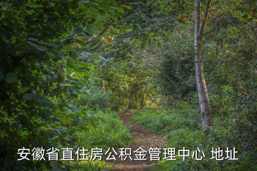 安徽省直住房公積金管理中心 地址