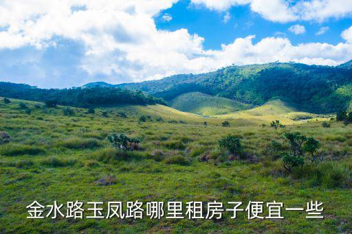 金水路玉鳳路哪里租房子便宜一些