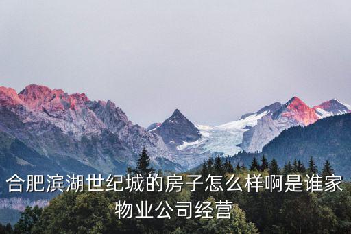 合肥濱湖世紀城的房子怎么樣啊是誰家物業公司經營