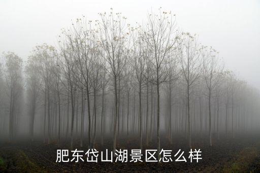 肥東岱山湖景區怎么樣