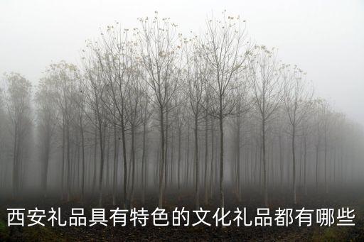 西安禮品具有特色的文化禮品都有哪些