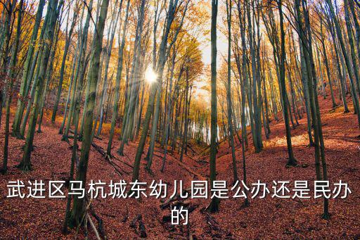 城東幼兒園，百色市右江區(qū)城東幼兒園怎么樣