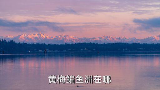 黃梅鳊魚洲在哪