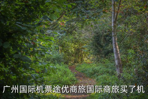 廣州國際機票途優商旅國際商旅買了機