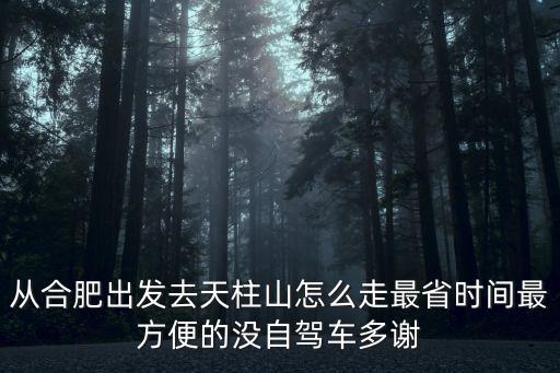 從合肥出發去天柱山怎么走最省時間最方便的沒自駕車多謝