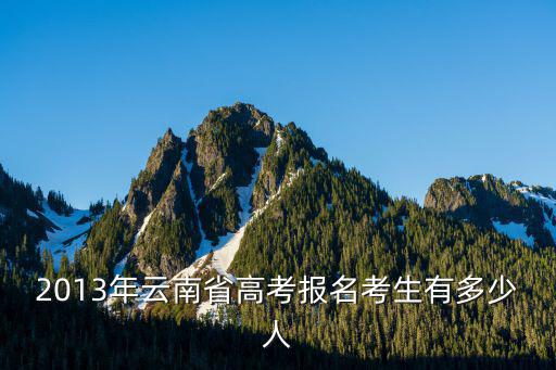 2013年高考，2013年云南省高考報名考生有多少人