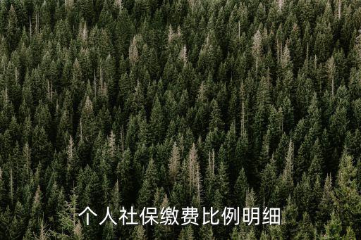 個人社保繳費比例明細