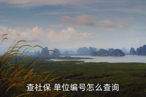 查社保 單位編號怎么查詢