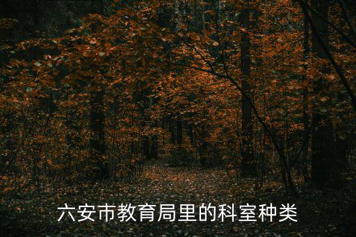 六安市教育局里的科室種類