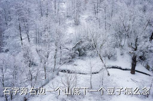 石字旁右邊一個山底下一個豆子怎么念