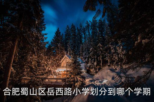 合肥蜀山區岳西路小學劃分到哪個學期