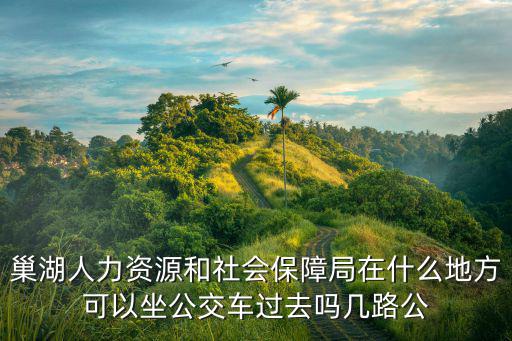 巢湖人力資源和社會保障局在什么地方可以坐公交車過去嗎幾路公