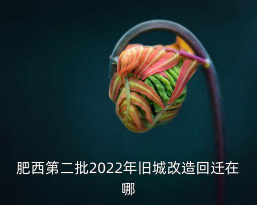 肥西第二批2022年舊城改造回遷在哪