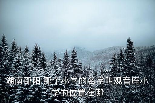 觀音庵，湖南邵陽 那個小學的名字叫觀音庵小學的位置在哪