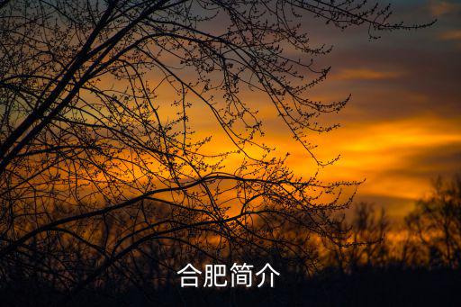 合肥簡(jiǎn)介，合肥簡(jiǎn)介