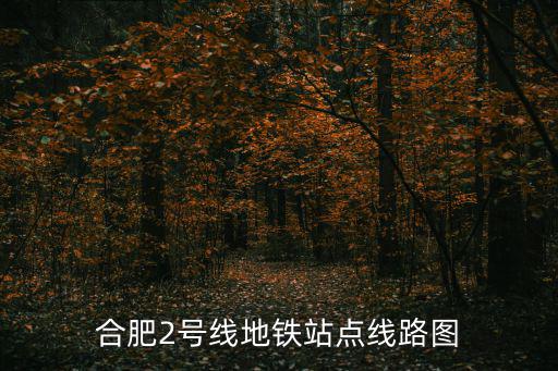 合肥2號線地鐵站點線路圖