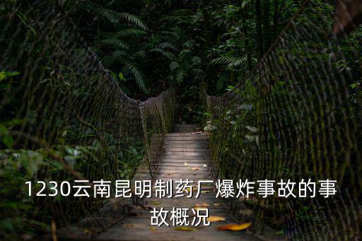 1230云南昆明制藥廠爆炸事故的事故概況