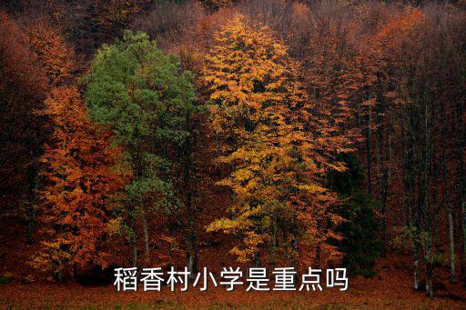 稻香村小學是重點嗎