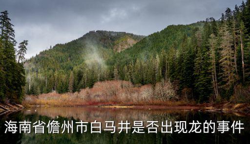 海南省儋州市白馬井是否出現龍的事件
