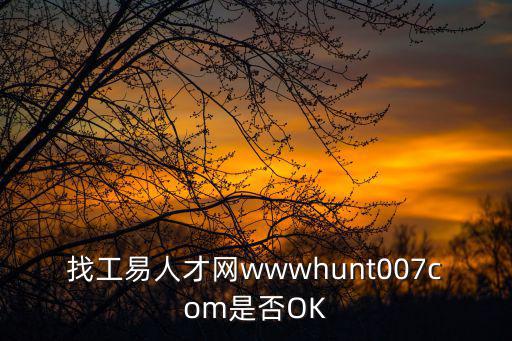 找工易人才網(wǎng)wwwhunt007com是否OK