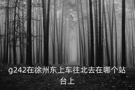 g242高鐵途經站點，g242在徐州東上車往北去在哪個站臺上
