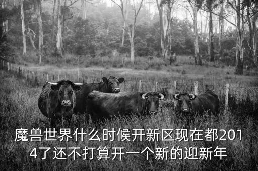 新迎新城，迎新城風暴過去了嗎