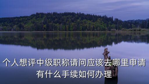 個人想評中級職稱請問應該去哪里申請有什么手續如何辦理