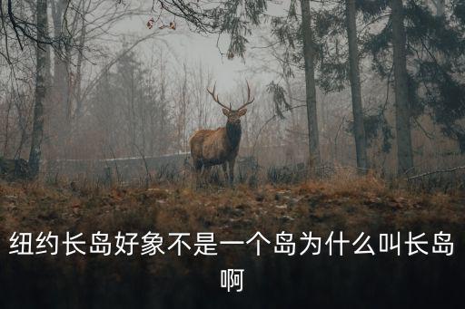 長島地圖，長島在哪
