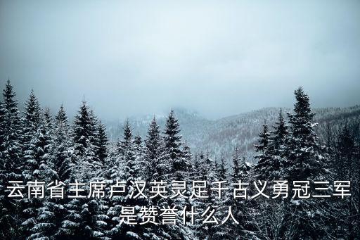 盧漢簡介，云南省主席盧漢英靈足千古義勇冠三軍是贊譽(yù)什么人