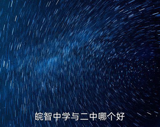 皖智中學與二中哪個好