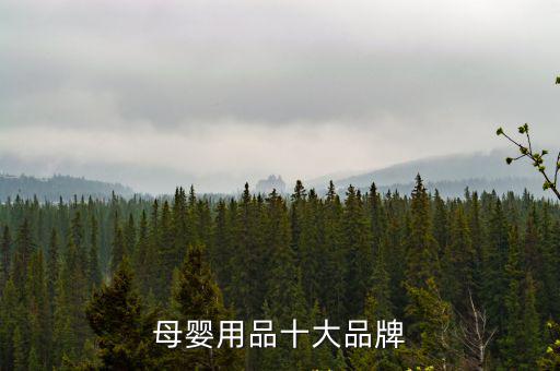 母嬰用品十大品牌