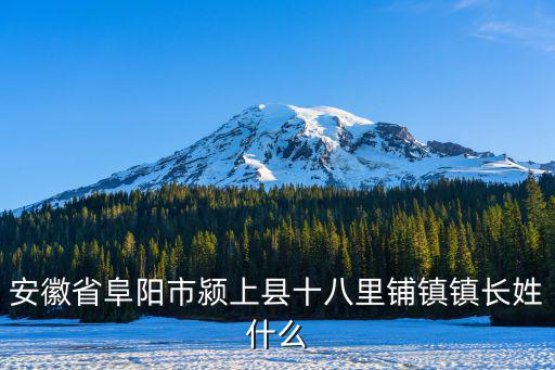 安徽省阜陽市潁上縣十八里鋪鎮鎮長姓什么
