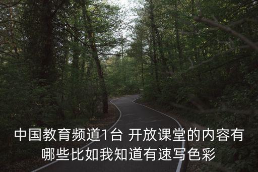 中國教育頻道1臺 開放課堂的內容有哪些比如我知道有速寫色彩
