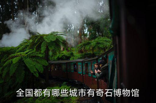 全國都有哪些城市有奇石博物館