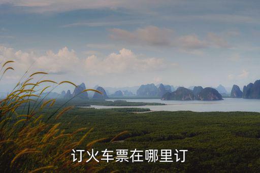 火車票預定，預訂火車票是12306還是攜程