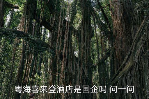 粵海喜來登酒店是國企嗎 問一問